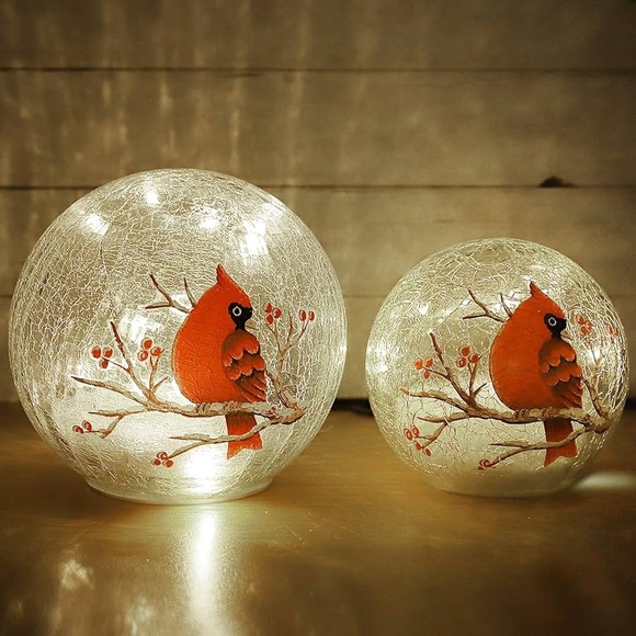 Other - Cardinal Crackle Glass LED Light Set